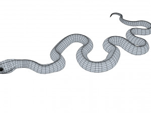 mangrove snake - animated Modèle 3D