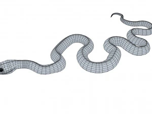 Mangrove snake - animated 3D Model