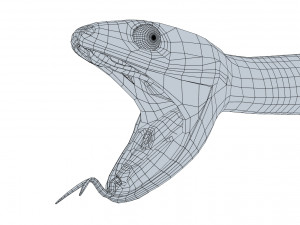 mangrove snake - animated Modèle 3D