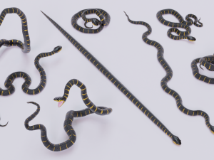 mangrove snake - animated Modèle 3D