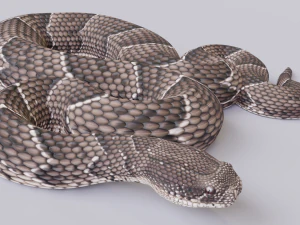 パフアダー 3Dモデル