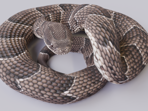 puff adder 3D Model