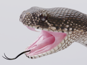 puff adder 3D Model