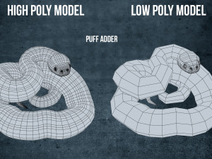 puff adder 3D Model