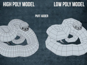 Puff adder 3D Model