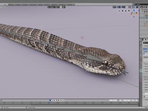 puff adder 3D Model