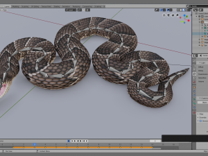puff adder 3D Model