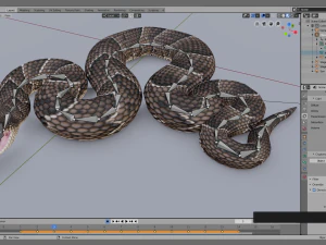 Puff adder 3D Model