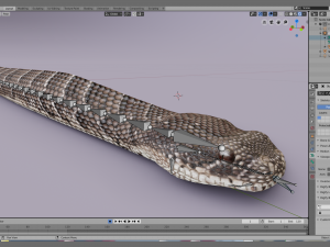 puff adder 3D Model