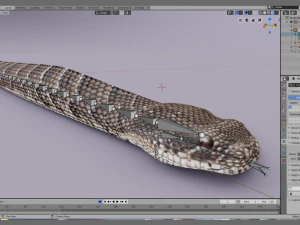 Puff adder 3D Model