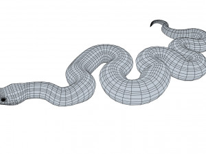 puff adder 3D Model