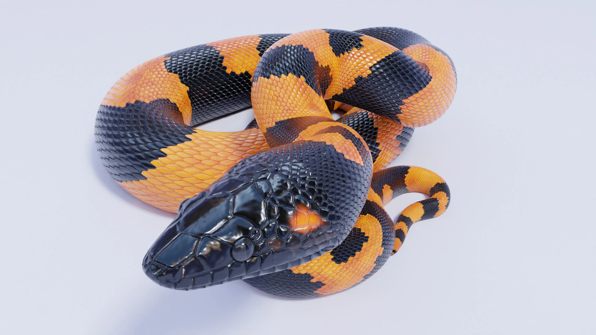 Bismarck Ringed Python - Animated 3D Model .c4d .max .obj .3ds .fbx .stl .blend