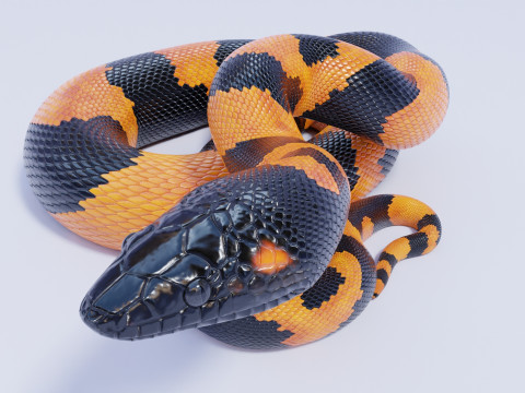 Bismarck Ringed Python - Animated 3D Модель