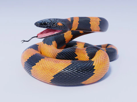 Bismarck Ringed Python - Animated 3D Model