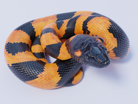 Bismarck Ringed Python - Animated 3D 模型