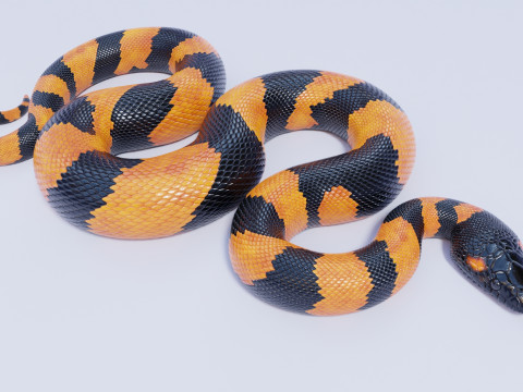 Bismarck Ringed Python - Animated 3D 模型