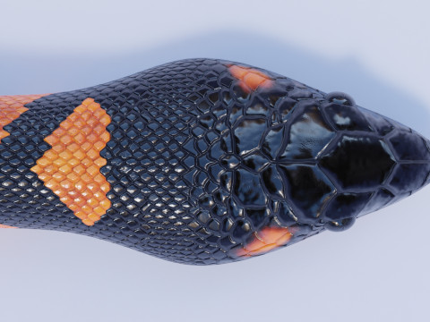 Bismarck Ringed Python - Animated 3D 模型
