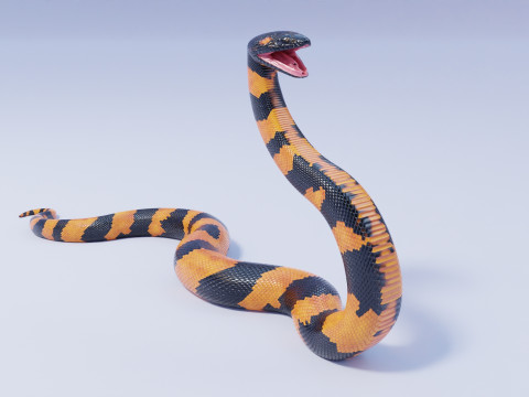 Bismarck Ringed Python - Animated 3D 模型