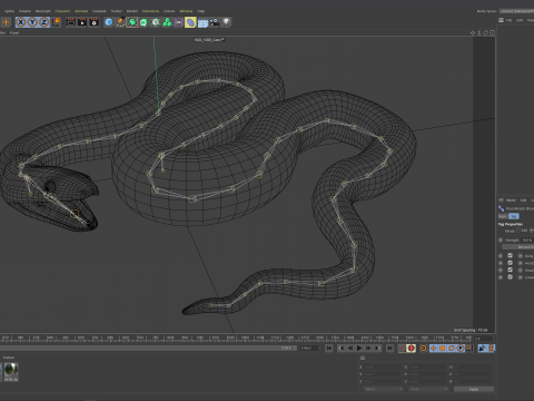 Bismarck Ringed Python - Animated 3D 模型