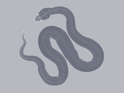 Bismarck Ringed Python - Animated 3D 模型