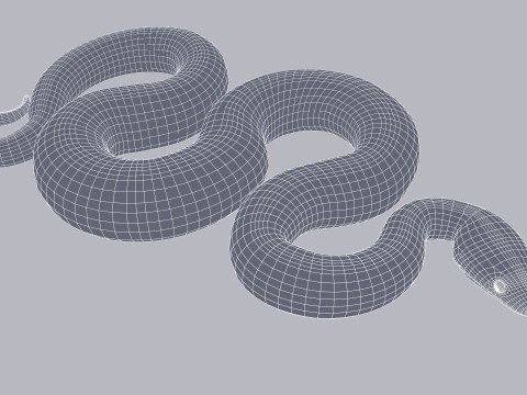 Bismarck Ringed Python - Animated 3D 模型