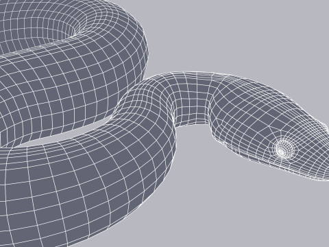 Bismarck Ringed Python - Animated 3D 模型