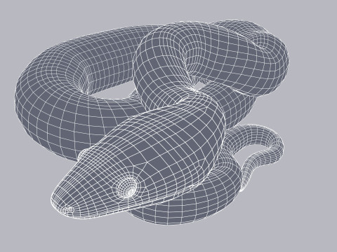 Bismarck Ringed Python - Animated 3D 模型