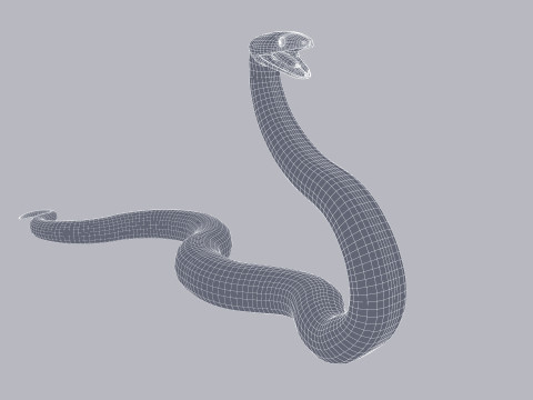 Bismarck Ringed Python - Animated 3D 模型