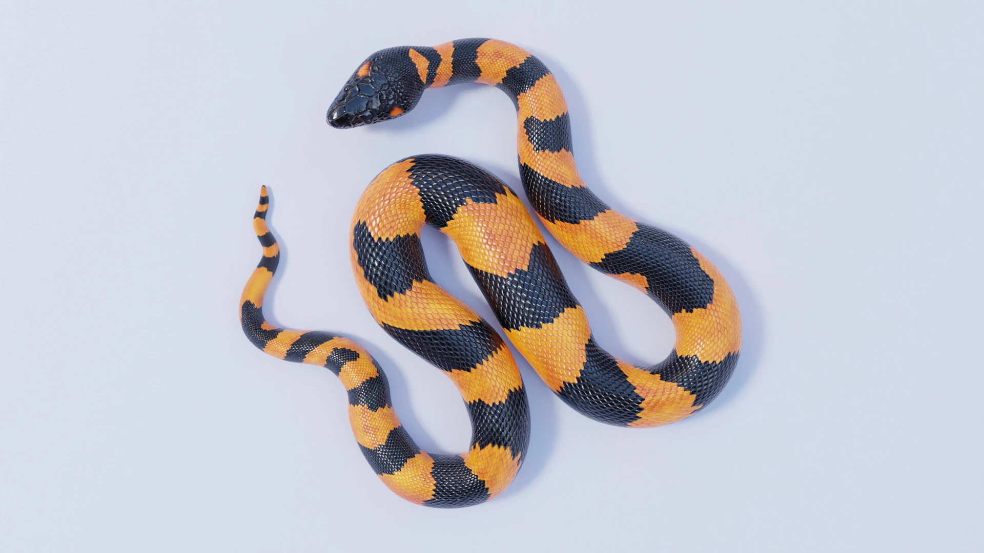 Bismarck Ringed Python - Rigged 3D Model .c4d .max .obj .3ds .fbx .stl .blend 