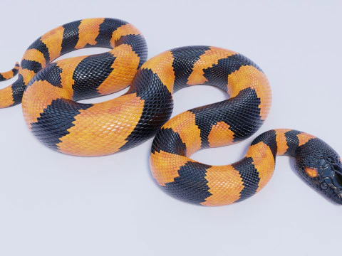 Bismarck Ringed Python - Rigged 3D Model