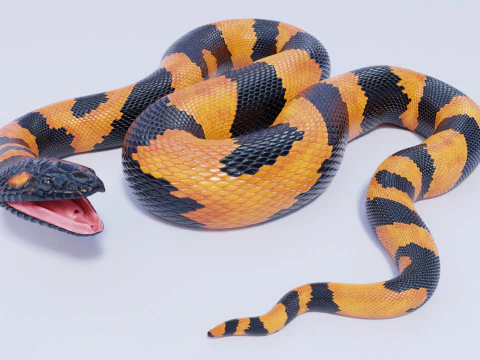 Bismarck Ringed Python - Rigged 3D Model