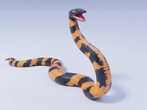 Bismarck Ringed Python - Rigged 3D Model