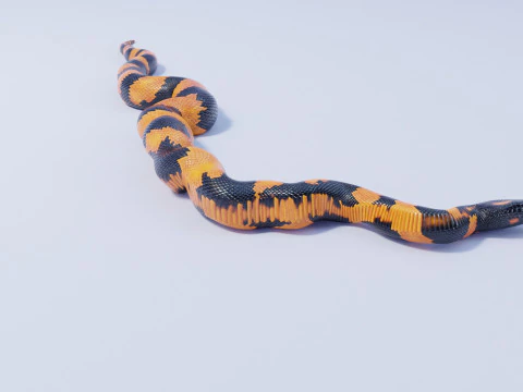 Bismarck Ringed Python - Rigged 3D Model