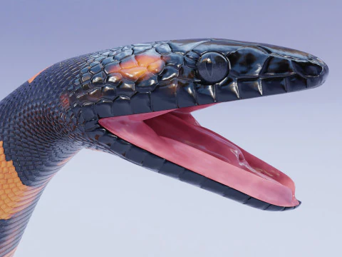 Bismarck Ringed Python - Rigged 3D Model