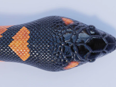 Bismarck Ringed Python - Rigged 3D Model