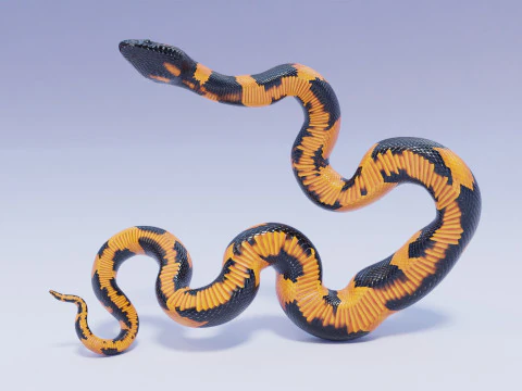 Bismarck Ringed Python - Rigged 3D Model