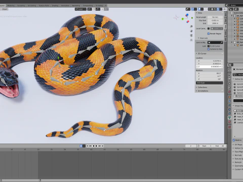 Bismarck Ringed Python - Rigged 3D Model