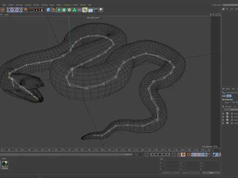 Bismarck Ringed Python - Rigged 3D Model