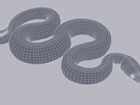 Bismarck Ringed Python - Rigged 3D Model