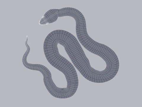 Bismarck Ringed Python - Rigged 3D Model