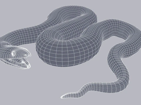 Bismarck Ringed Python - Rigged 3D Model