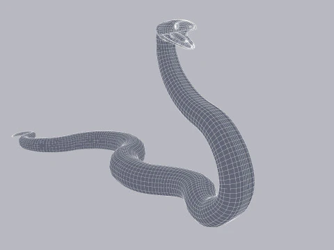 Bismarck Ringed Python - Rigged 3D Model