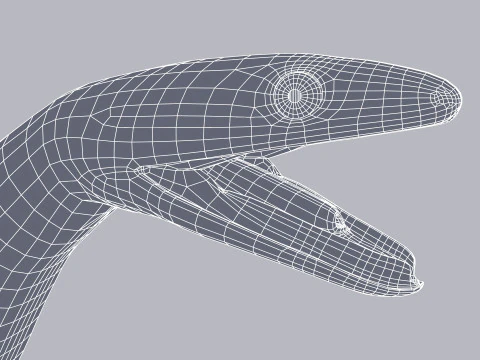 Bismarck Ringed Python - Rigged 3D Model