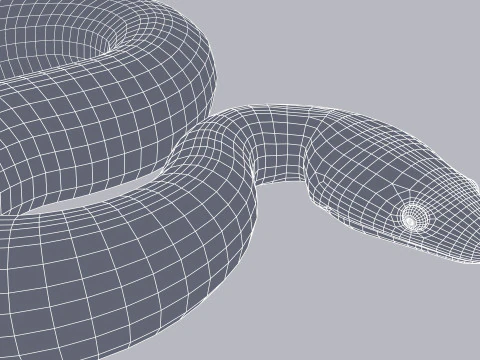 Bismarck Ringed Python - Rigged 3D Model