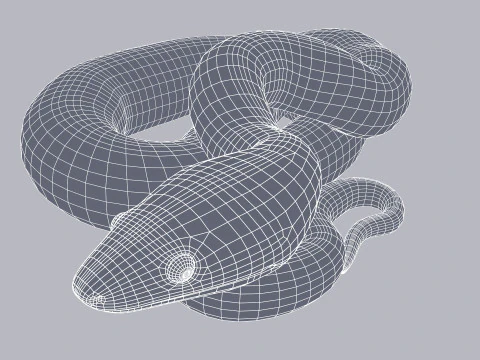 Bismarck Ringed Python - Rigged 3D Model