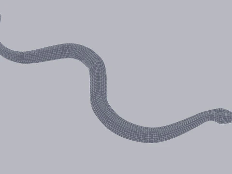 Bismarck Ringed Python - Rigged 3D Model