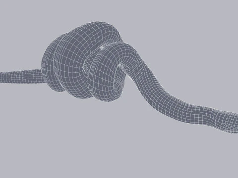 Bismarck Ringed Python - Rigged 3D Model