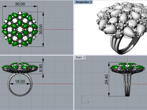 Ring Fusion Flowers Full - Jewelry 3D - AN-01 3D Druckmodell