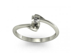 ring2 3D-printmodel