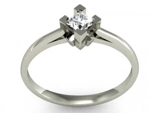 リング4 3Dプリントモデル